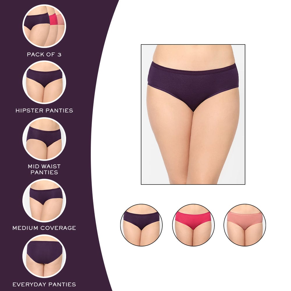 Women's Seamless Hipster Panty (Pack of 1) at Rs 261/piece, Hipster Panty  in New Delhi